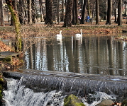 Park zamkowy