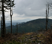 Beskidy, szlak turtstyczny na Skrzyczne