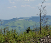 Widok z Czupla na Górę Żar