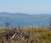 Panorama Tatr ze szczytu Baraniej Góry
