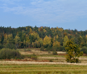 Łodygowicka jesień - zbocza Czupla