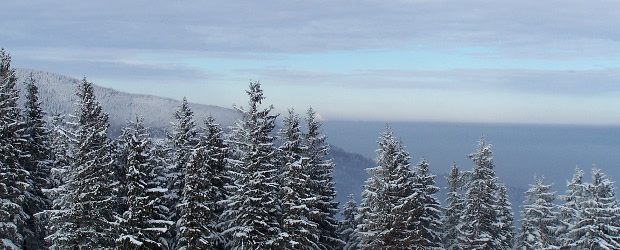Widok z Przełęczy Salmopol